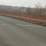 В Новосибирской области обновили дорожное покрытие на мосту через реку Иня - Gorsite.Ru