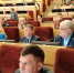 Депутаты Заксобрания раскритиковали законопроект об умерщвлении агрессивных собак - Сиб.фм