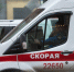 В Бийске стая бездомных собак напала на ребенка - КП-Новосибирск