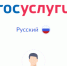 «Социальную карту» можно оформить через госуслуги - Газета Навигатор