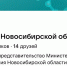 В правительстве НСО рассказали, как госпаблики помогают новосибирцам - Gorsite.Ru
