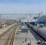 40 тысяч москвичей ежегодно приезжают в Новосибирскую область - Gorsite.Ru