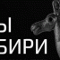 Культурный бренд «Сны Сибири»: выставка в Художественном музее - Новая Сибирь
