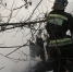 36 пожаров произошло в Новосибирске за неделю: погиб один человек - NSKNews.Info