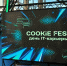 На Cookie Fest в Новосибирске студентам посоветовали прокачивать навыки питчинга - КП-Новосибирск