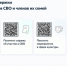 Всё о мерах социальной поддержки для участников специальной военной операции и членов их семей - Администрация Новосибирского района