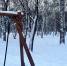 В Новосибирске потеплеет до -4 градусов 13 декабря - Gorsite.Ru