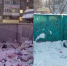 В АО «САХ» прокомментировали мусорный коллапс в центре Новосибирска - Сиб.фм