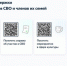 Сервисы поддержки для участников СВО и членов их семей - Министерство образования