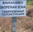 В Новосибирской области за год закрыли 88 скотомогильников - Gorsite.Ru