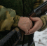 В Новосибирской области мужчин, убивших 23 лосей, признали виновными - КП-Новосибирск