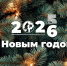 Поздравляем с наступающим Новым годом и Рождеством! - Рослесозащита Новосибирской области