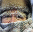 Когда на улице ниже -30°C - Газета Ведомости