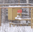 С новосибирской компании взыскали 1,5 млрд рублей за срыв газификации Читы - Precedent.TV