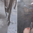 Вода в новосибирской реке Чербузы прогрелась до +26 градусов - Gorsite.Ru
