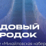 В Новосибирске ледовый городок на набережной на месяц раньше завершает работу - Precedent.TV