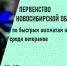Первенство Новосибирской области по быстрым шахматам и блицу среди ветеранов, 13-15 марта - Федерация шахмат