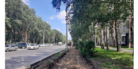 Подрядчики ответят за сломанные деревья и разрушенные газоны - Газета Навигатор