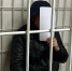Дело бывшего директора «Спецавтохозяйства» Южакова дошло до суда - Сибкрай.ru