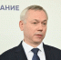 Уничтожение животных в Новосибирской области: заявления губернатора - Сибкрай.ru