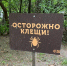 На борьбу с клещами в Новосибирске потратили почти 11 млн рублей - Gorsite.Ru