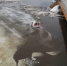 Талые воды затопили мост в селе под Новосибирском - Gorsite.Ru