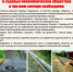 Подтопления в Дзержинском районе - Дзержинский район