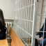 Суд отправил экс-начальника новосибирской налоговой под домашний арест - Gorsite.Ru