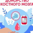 Новосибирские доноры крови создали «золотой стандарт» донорства костного мозга - Gorsite.Ru
