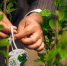 Фото с официального сайта Правительства НСО - НИА Новосибирск