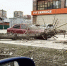 Тополь упал на автомобиль в Новосибирске после ДТП - Gorsite.Ru